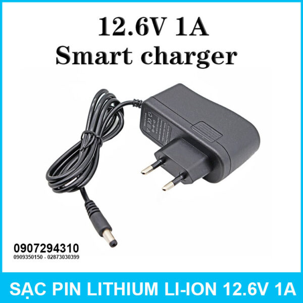 12.6V 1A Charger 3S 3.7V Lithium Battery Charger