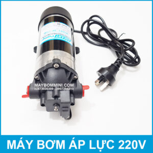 Micro Diaphragm Pump DP 170M 220V