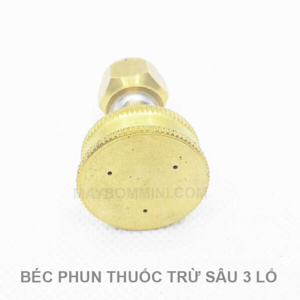 Bec Phun Thuoc Tru Sau 1