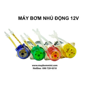 May Bom Nuoc Mini 12v 6.jpg