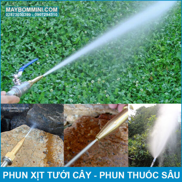 Su Dung Phun Thuoc Sau Tuoi Cay