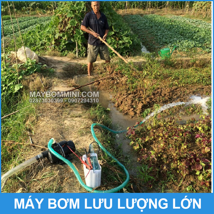 Bom Nuoc Dung Bich Ac Quy 12V Xe May Oto