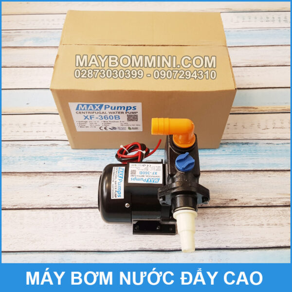 Bom Day Cao 12V MAXPUMPS