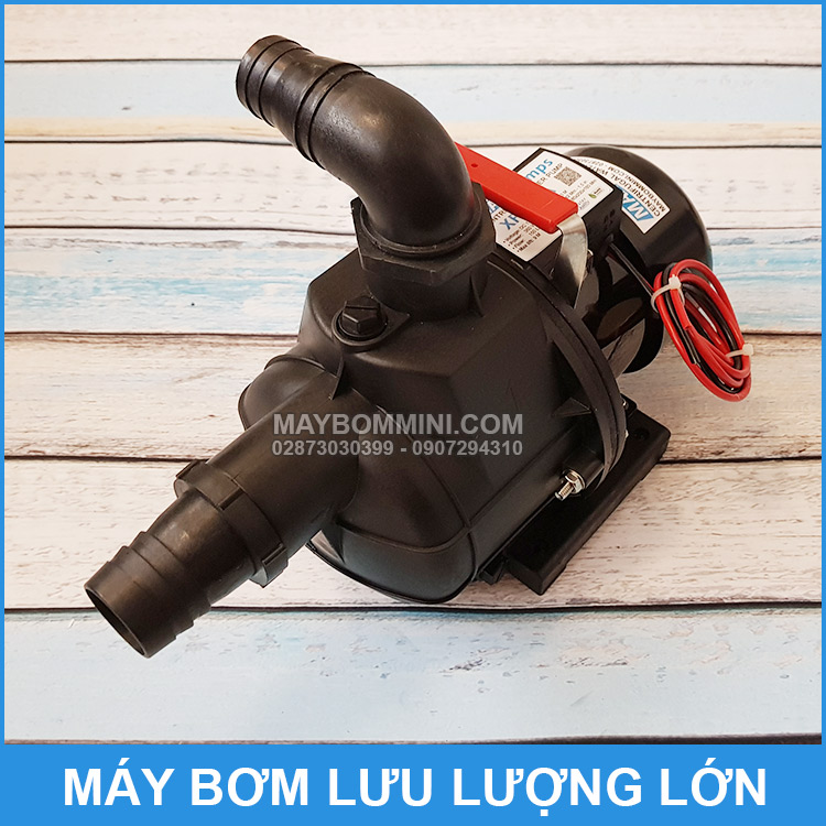 May Bom Luu Luong Lon 12V