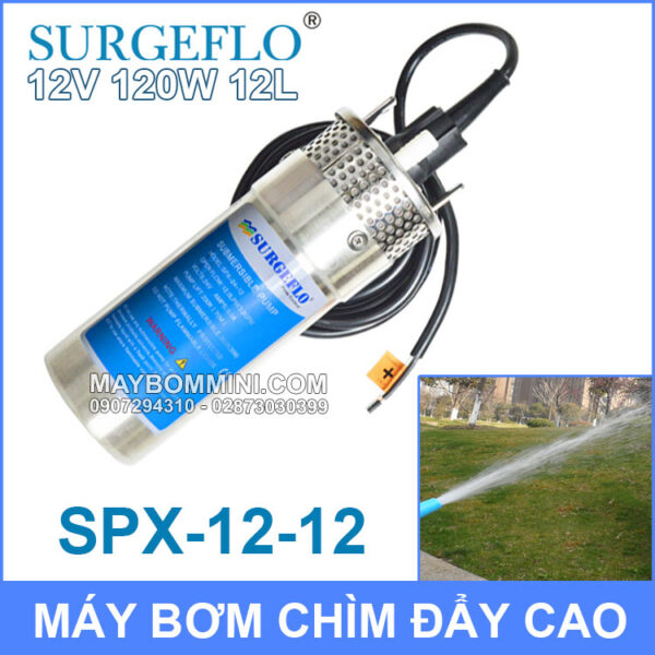 May Bom Chim SURGEFLO 12V 120W 12L SPX 12 12