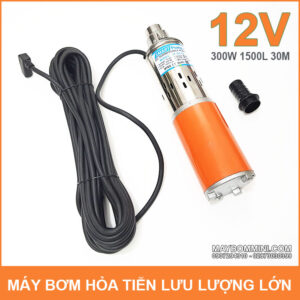 May Bom Chim 12V 300W 2500L JT 300 Smartpumps
