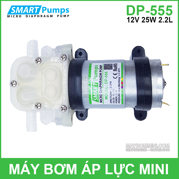 May Bom Ap Luc Mini 12v DP 555