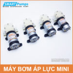 May Bom Ap Luc Mini 24V DP 555 Smartpumps