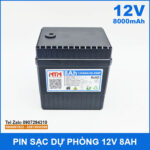 Pin Sac Du Phong 12v 8ah
