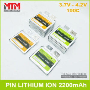 Pin Lithium Dong Sa 100c
