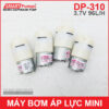 Bom Ap Luc Mini DP 310