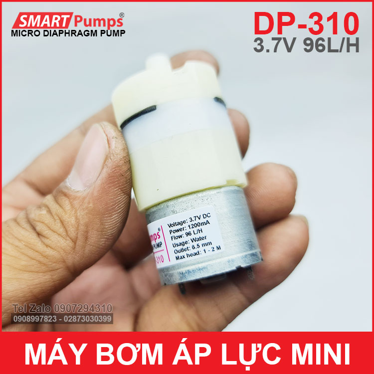 May Bom Nho Mini 12V DP 310